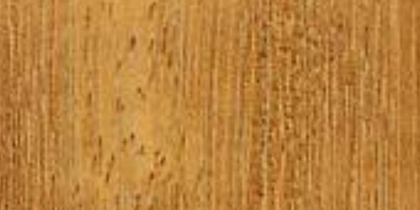 Iroko guide bois exotique :  utilisation & protection